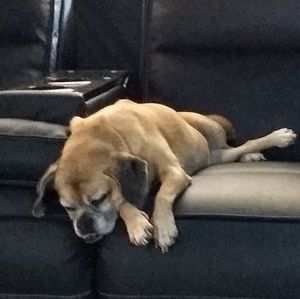 Meet your Posher, Amy